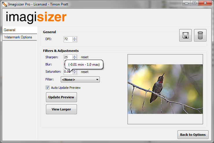 Batch Filtering Photographs and Images with multiple preview windows for comparison