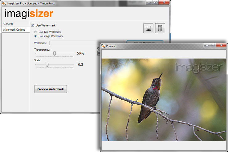 Batch Watermarking Photographs and Images with multiple preview windows for comparison